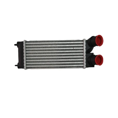 Peugeot Citroen Turbo Radyatör İntercooler /0384L4 MGA