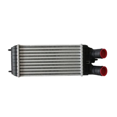 Peugeot Citroen Turbo Radyatörü İntercooler  0384N7 / 9803900780 MGA