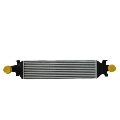 Mercedes C117 W176 W246 MGA Turbo Radyatör İntercooler 2465000900 MGA