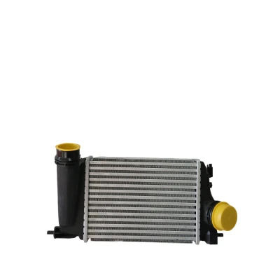 Nissan Qashqai 1.2 2013- / Renault Megane IV 1.2 2015- Turbo Radyatörü 144614ED0A MGA