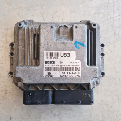 Hyundai 1.6 CRDi Bosch Motor Beyni 391032A512