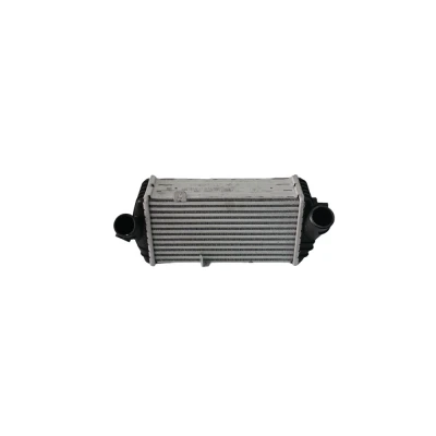 Hyundai Accent Blue i20 i30 Kia Rio Ceed Turbo Radyatör İntercooler 282712A640 Mobis