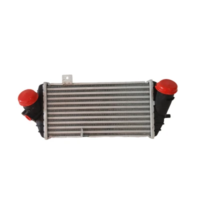 Kale Turbo Radyatör İntercooler 282712A740 KALE